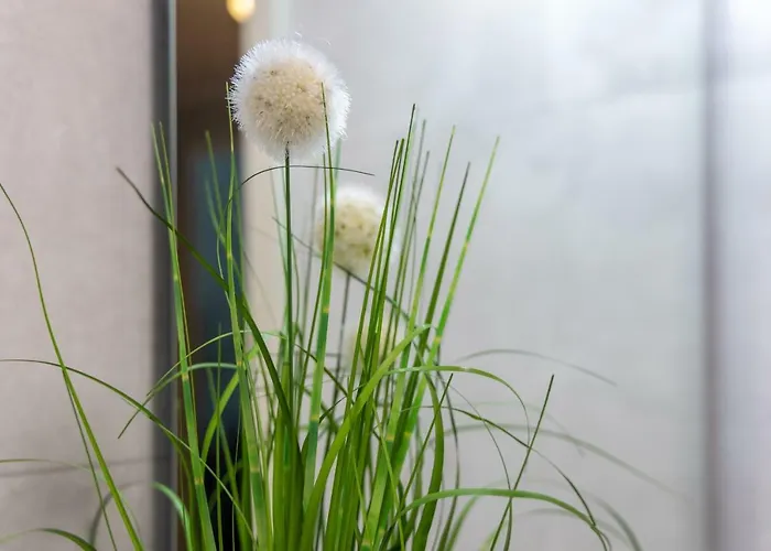 Trip Center Frankfurt am Main