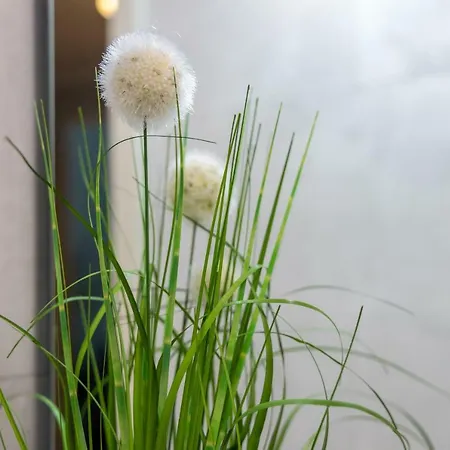 Trip Center Frankfurt am Main